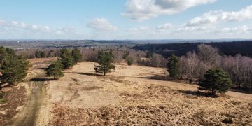 view of the Ashdown forest
