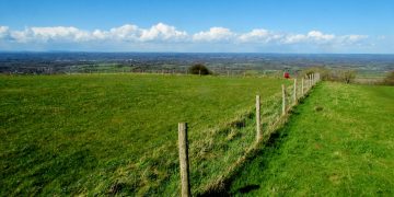 The Downs