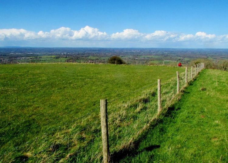 The Downs
