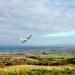 A glider flies over the South Downs near Ditchling Beacon, East Sussex