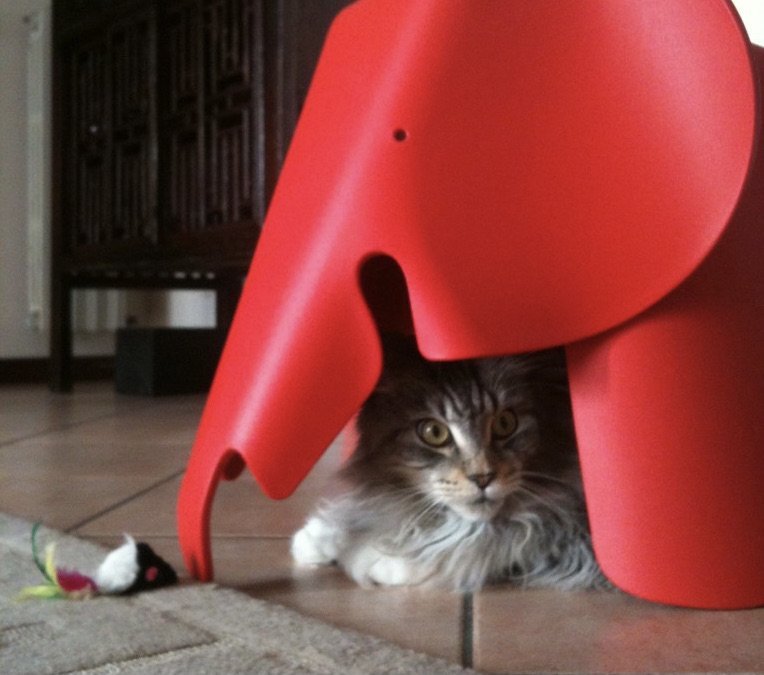 Amusing picture of a large plastic elephant with looking out of the opening underneath, a tabby ca. Just within reach is what looks like a toy mouse.