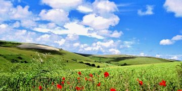 The South Downs near Lewes