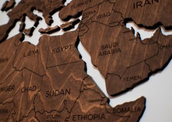 wooden pieces depicting world map