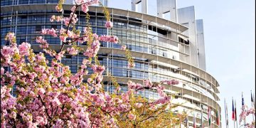 Blossom outside Louise WEiss building, European Parliament
