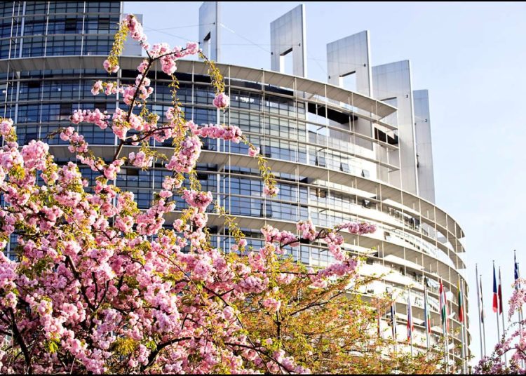 Blossom outside Louise WEiss building, European Parliament