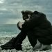 Unsettled, downhearted woman on beach