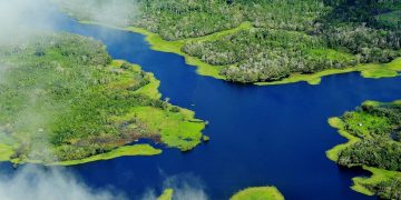 Aerial view of the Amazon Rainforest, near Manaus, the capital of the Brazilian state of Amazonas.