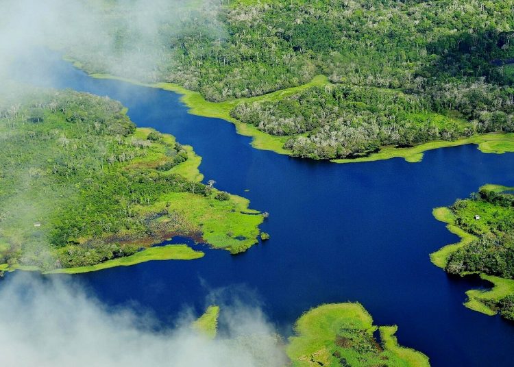 Aerial view of the Amazon Rainforest, near Manaus, the capital of the Brazilian state of Amazonas.