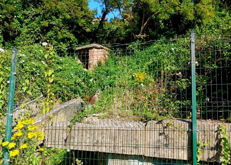 This is the abandoned western entrance to the tunnels