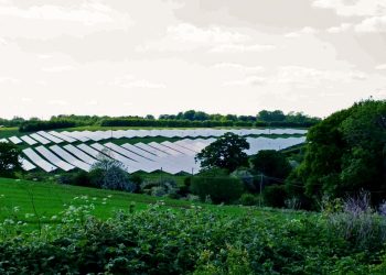 Solar array at Barn Farm