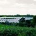 Solar array at Barn Farm