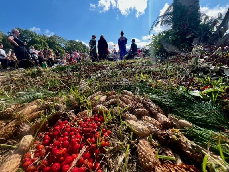 Harvest