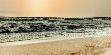 The sea