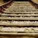 Railway track. Photo by Nick Fewings on Unsplash