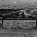 A disheveled man lying on a bench.