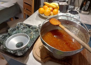 A kitchen worktop with marmalade ingredients