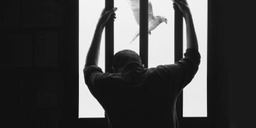 Innocent asylum seekers treated as prisoners