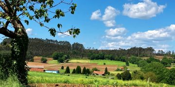 Galician landscape on the Camino.