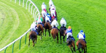 horses racing