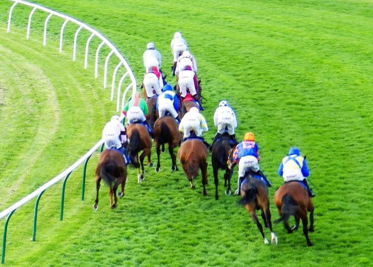 horses racing