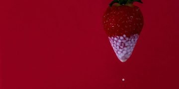 Strawberry and cream
