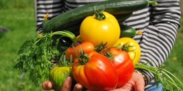 vegetables