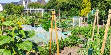 Allotment