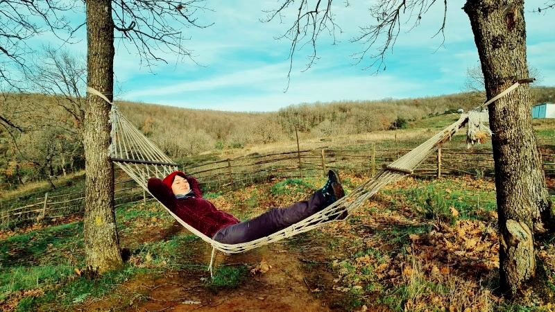Person relaxing in a hammock between two trees