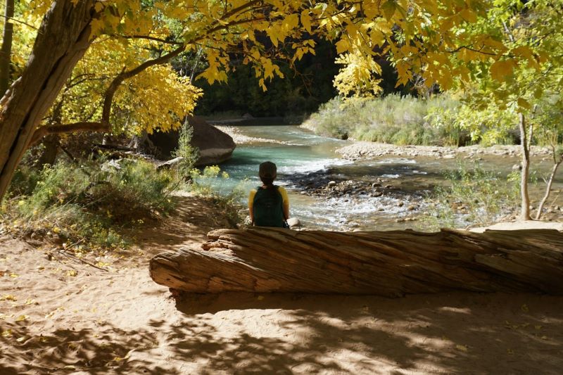 Person sitting on a tree trunk by a river