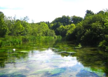 River Itchen, Ovington