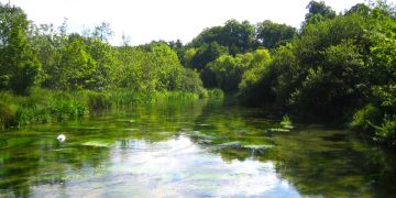 River Itchen, Ovington