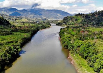 Down the Amazon river