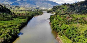 Down the Amazon river