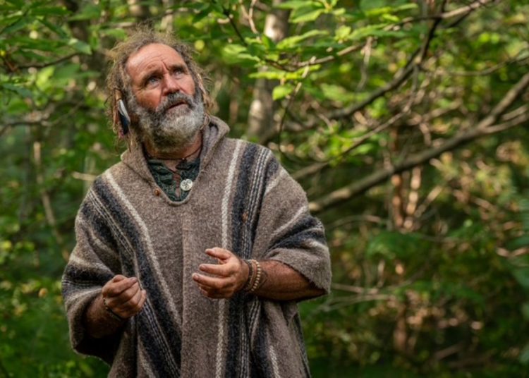 A photo of Oak Bear in the forest