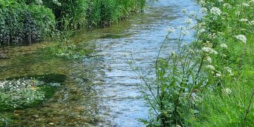 The River Ems
