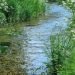 The River Ems
