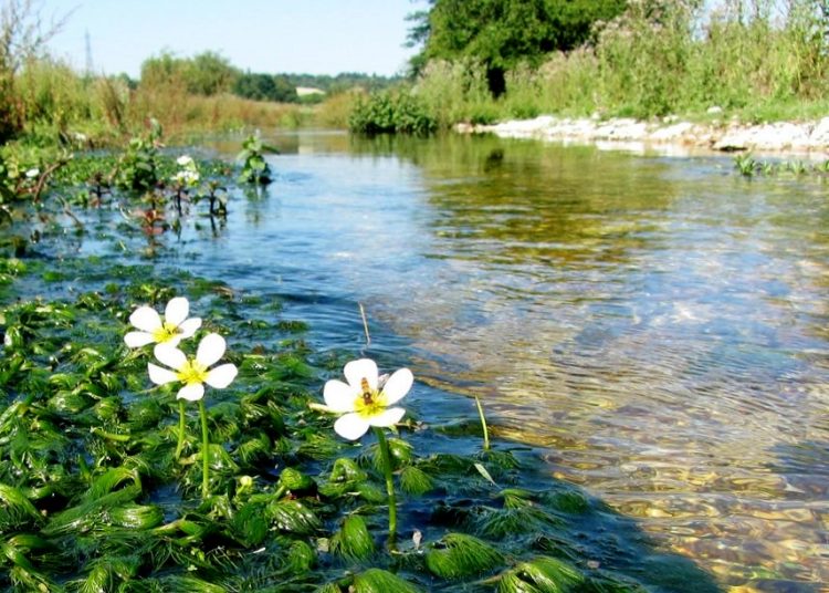 Chalk stream