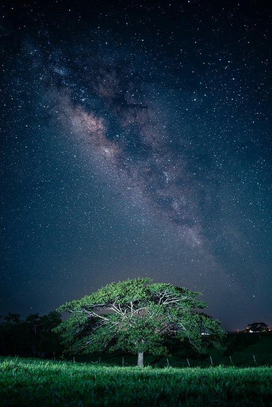 The Milky Way