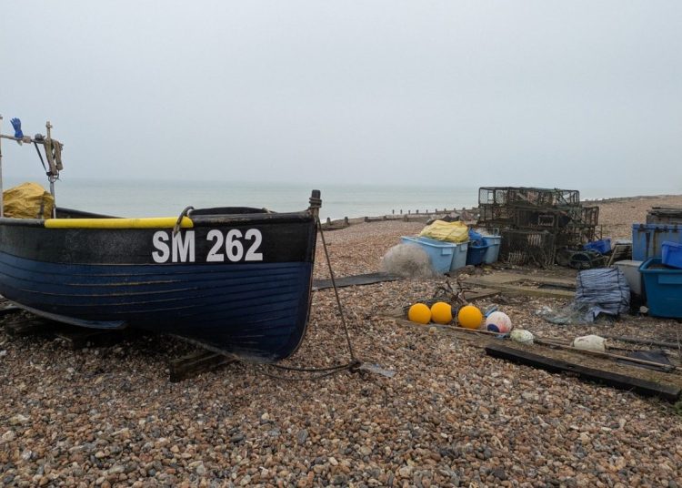 boats on the beach
