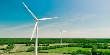 Wind turbines in a field