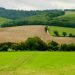 Bignor Hill seen from the South Downs Way