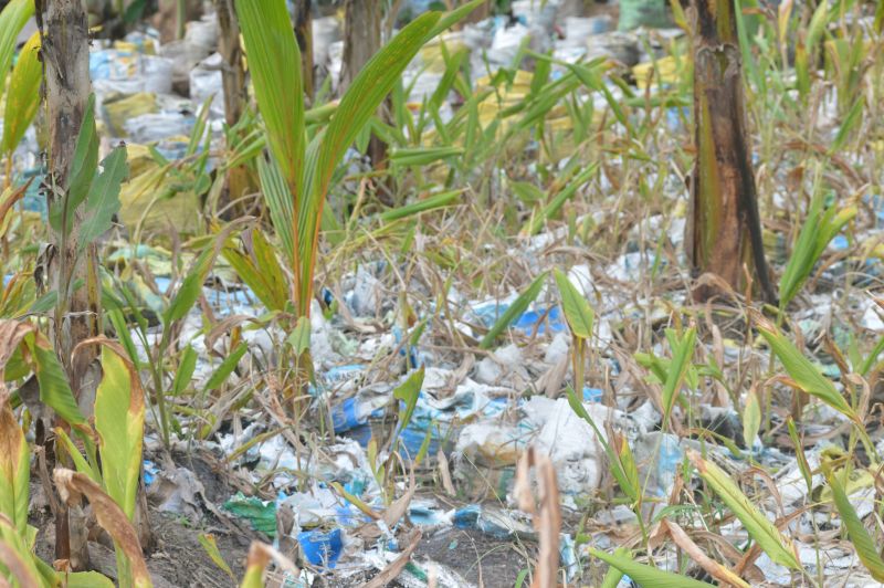 Litter in a field