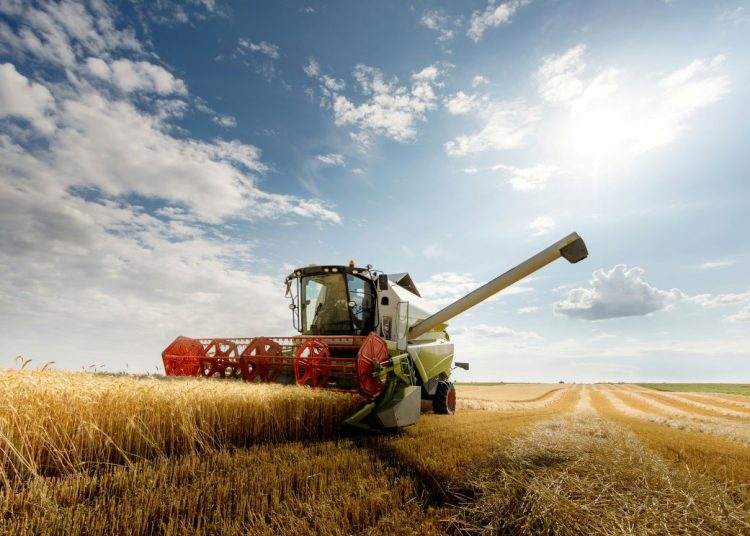 Combine harvester in a wheat field