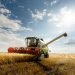 Combine harvester in a wheat field