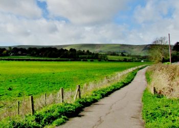 Greenfield land in East Sussex
