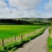 Greenfield land in East Sussex