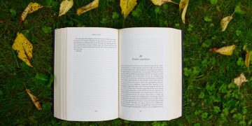 An open book on the grass