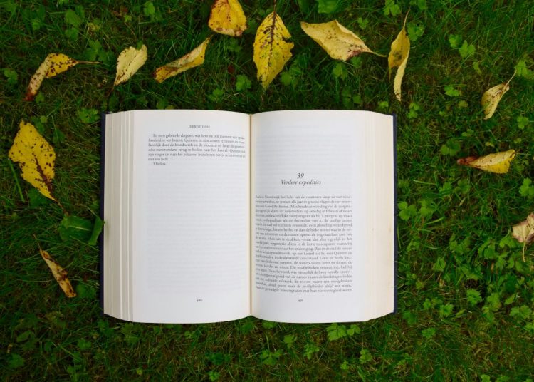 An open book on the grass