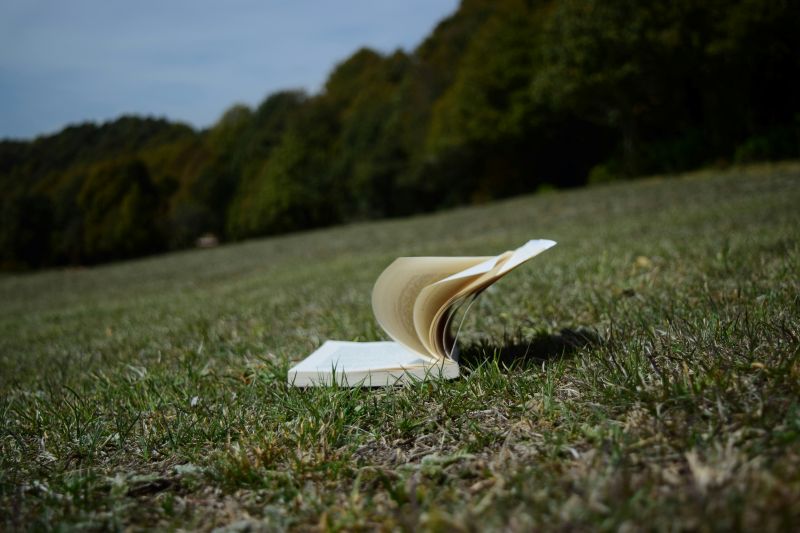 An open book lying in a field