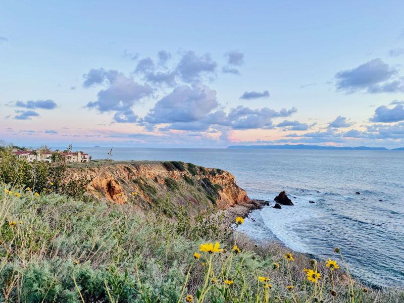 A cliff looking out to sea with vegetation growing on it.